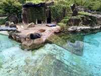 Kobe Oji Zoo