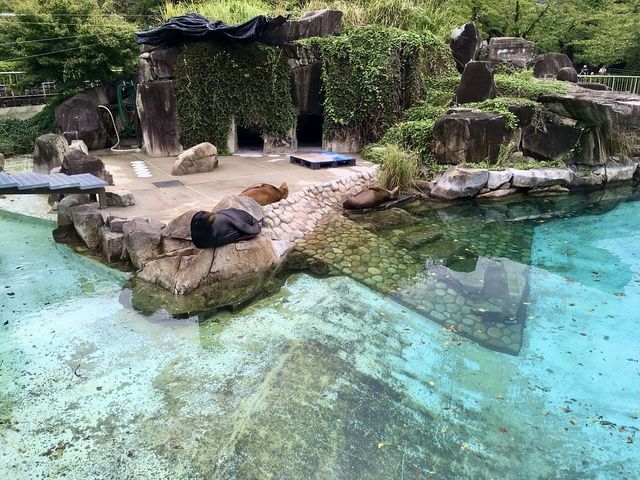 Kobe Oji Zoo