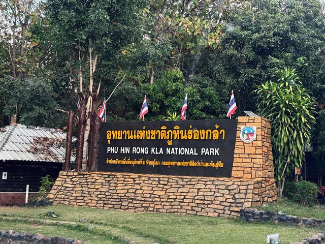 ทุ่งดอกกระดาษ - อุทยานภูหินร่องกล้า