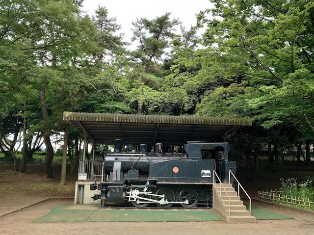 Chiba Park 