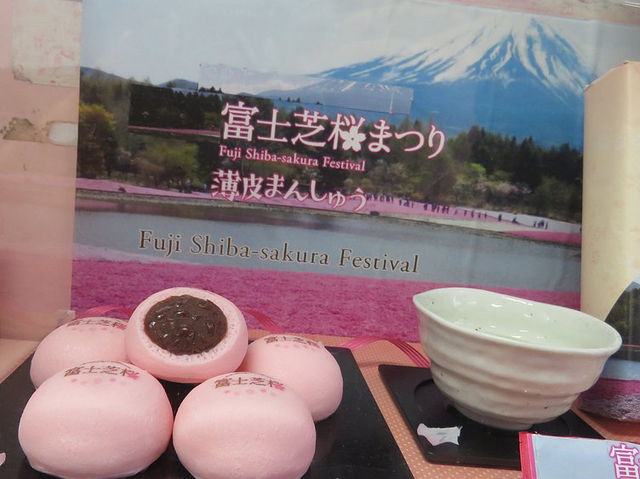 Fuji Shibazakura Festival