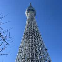 東京的新地標👉晴空塔