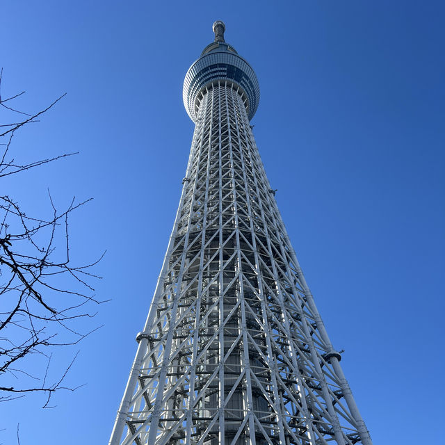 東京的新地標👉晴空塔