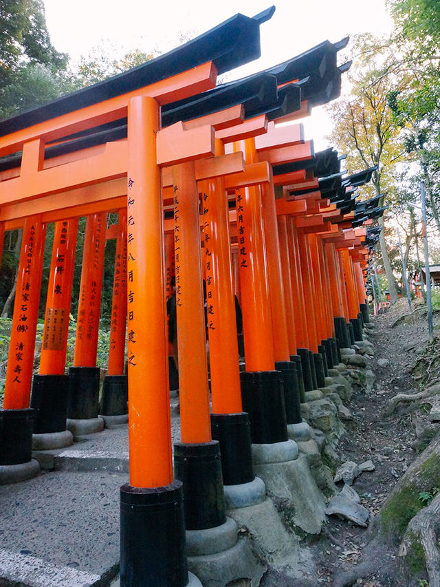 京都景點｜伏見稻荷大社｜千本鳥居
