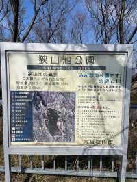 【大阪府】辰年に行ってみたい「龍神社」