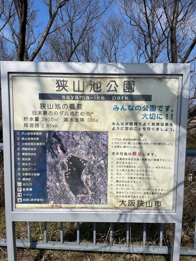 【大阪府】辰年に行ってみたい「龍神社」