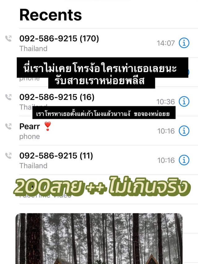 พาไปป่าสนเชียงใหม่ ที่ขึ้นชื่อเรื่องจองยากมากก 🪵🌲