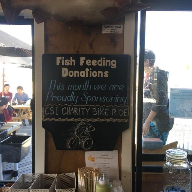 High country salmon 