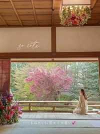 【京都】春の期間限定！「花の間」が今年も開催！より鮮やかで華やかな空間のお寺