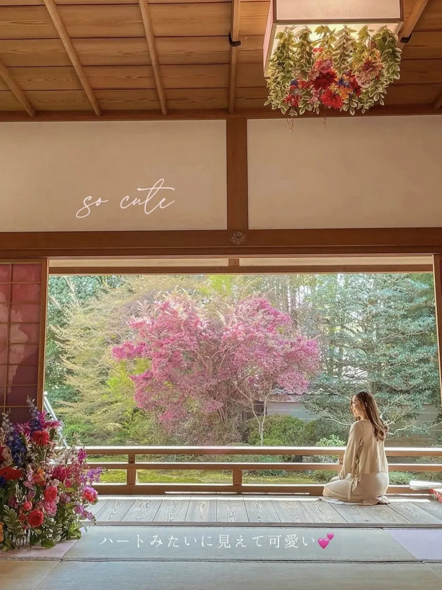 【京都】春の期間限定！「花の間」が今年も開催！より鮮やかで華やかな空間のお寺