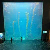「倫敦海洋生物水族館」：驚嘆景點，深入瞭解海洋生物