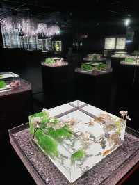 【アートアクアリウム美術館 GINZA /東京都】春を先取り！幻想的空間の桜と金魚