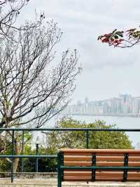 尖沙咀後花園| 俯瞰維港秘景～