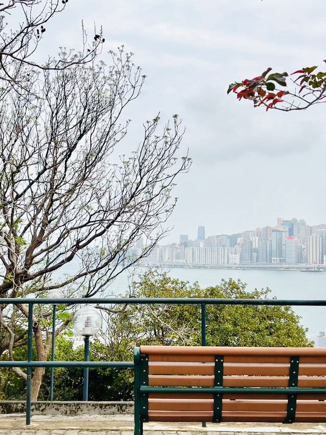 尖沙咀後花園| 俯瞰維港秘景～