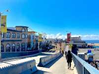 Santa Monica State Beach