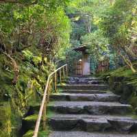 京都CMでも有名なスポット⭐瑠璃光院⭐