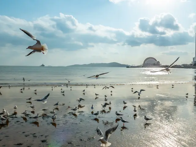 Zhanqiao Pier... Qingdao.