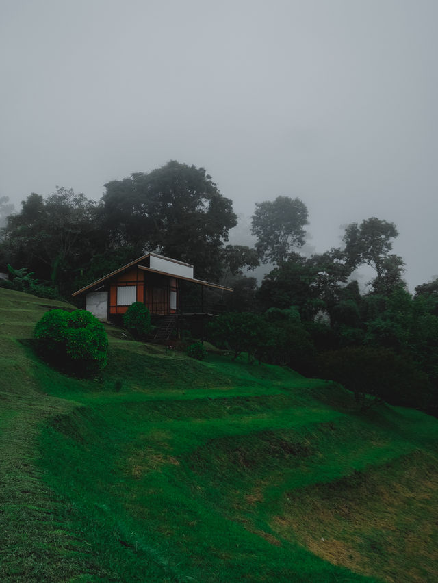 สันป่าเกี๊ยะ ดอยหลวงเชียงดาว ⛰️