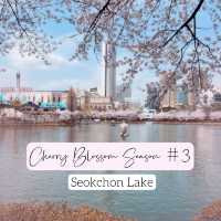 Seoul Cherry Blossoms: Seokchon Lake