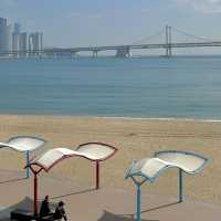 봄이 드리운, 부산 광안리의 낮과 밤🔅