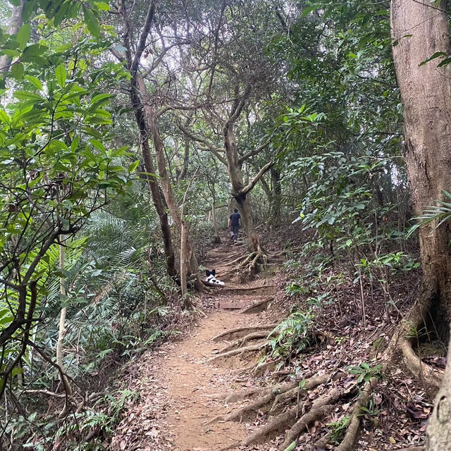 Hiking in Yuan Shan hiking trail