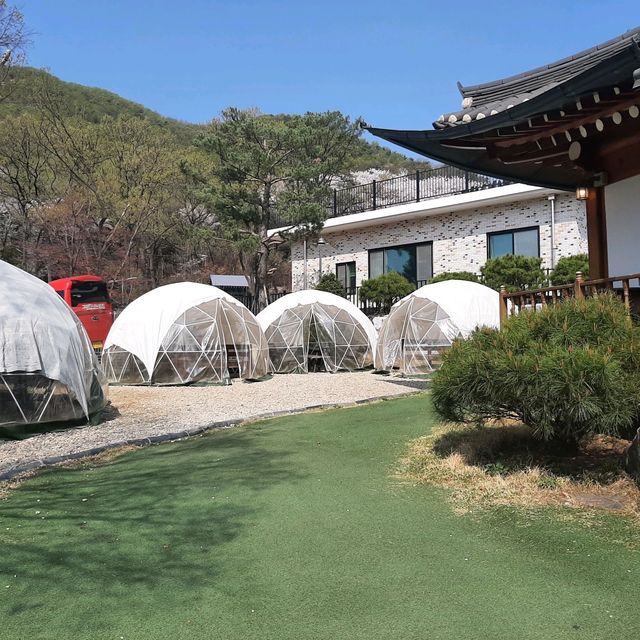 🥰경기도 시흥 한옥 카페 <청화공간> 😋