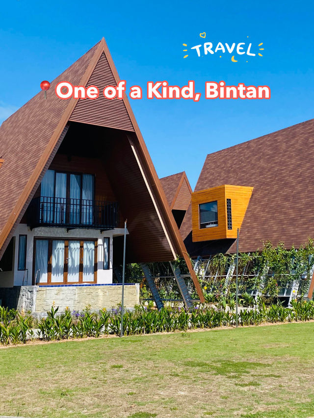 🇮🇩 Luxurious Escape at One of a Kind Resort, Bintan