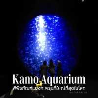 Kamo Aquarium พิพิธภัณฑ์สัตว์น้ำคาโม 