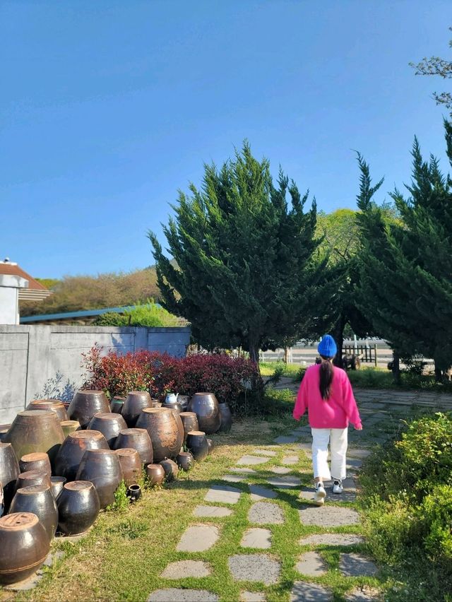 봄향기 피어나던 보성 득량역🌸