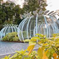 「東京景點：渋谷區互動植物園，適合全家人」