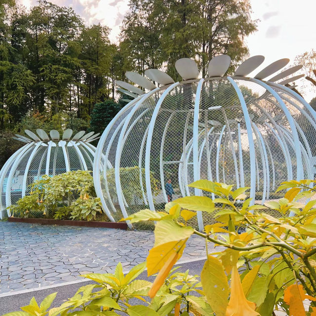 「東京景點：渋谷區互動植物園，適合全家人」