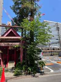 【一本檜稲荷神社（本社）/東京都】今は荒廃になるも吉宗絶賛の神社