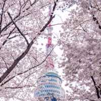 Namsan Mountain Park