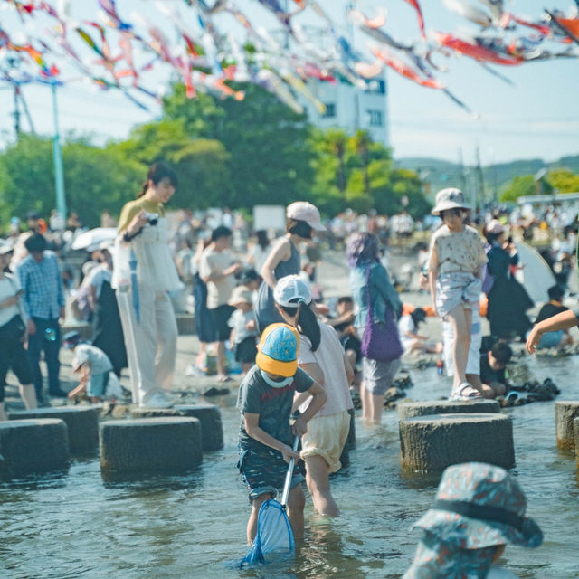 【大阪・高槻】青空に泳ぐ希望の鯉1000匹の絶景 芥川桜堤公園