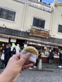 หนีแมวมาหากวางที่นารา NARA , JAPAN