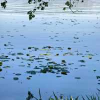 「白登河濕地公園：春季賞花，戶外活動的絕佳去處」