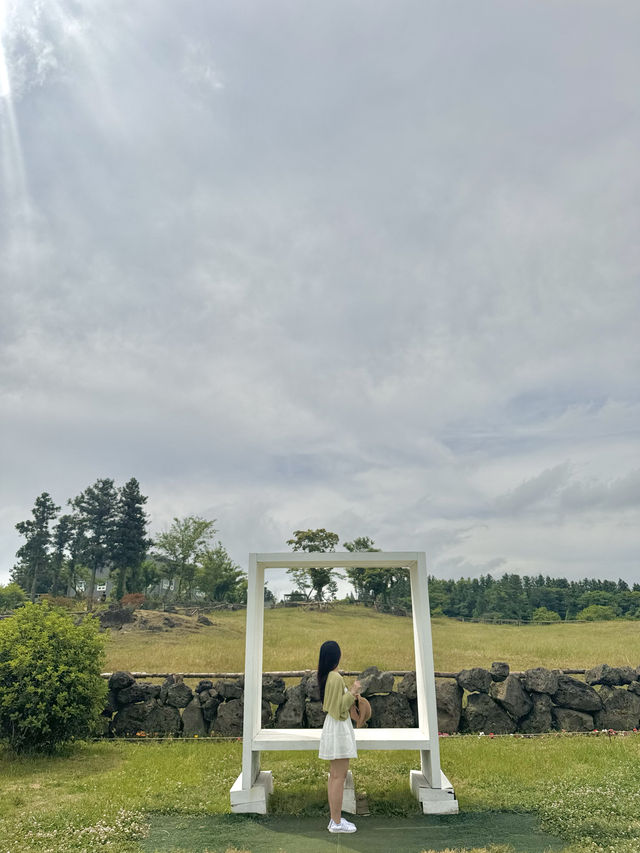 공항근처 첫 시작 마지막일정으로 딱!! 아침미소목장🐮