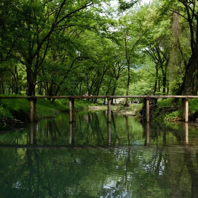「春遊必去！鈴原濕原：自然美景、豐富生態，攝影愛好者的天堂！」