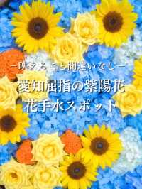 【愛知】ここも無料⁉️そして穴場‼️複数の綺麗な花手水が出迎えてくれるスポット✨