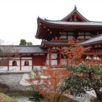 【京都観光】世界文化遺産