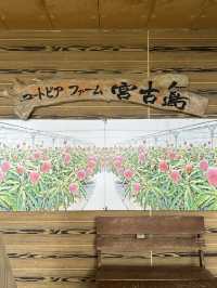 〜沖縄県〜宮古島ユートピアファーム