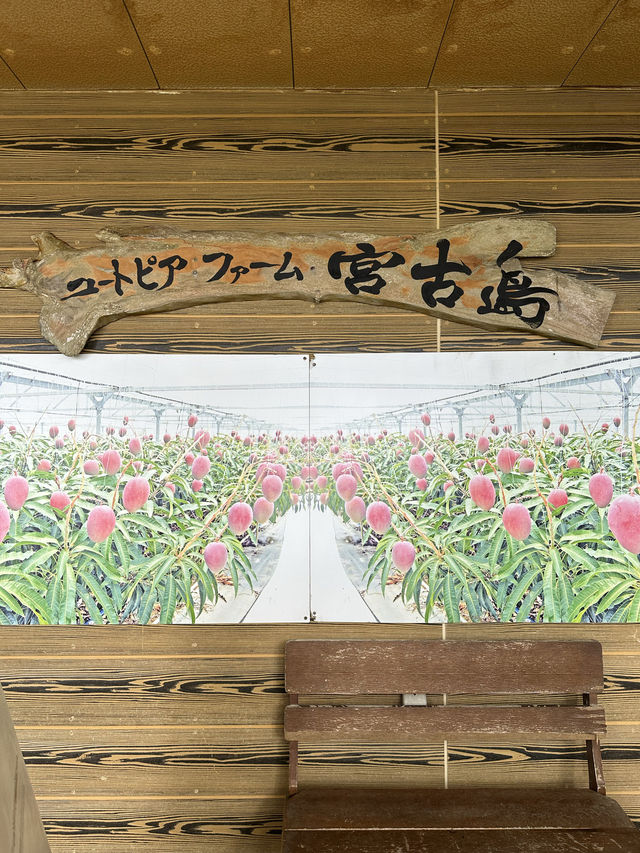 〜沖縄県〜宮古島ユートピアファーム