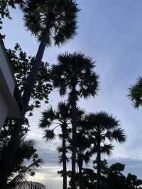 The commune Terrace & Bar Phuket 