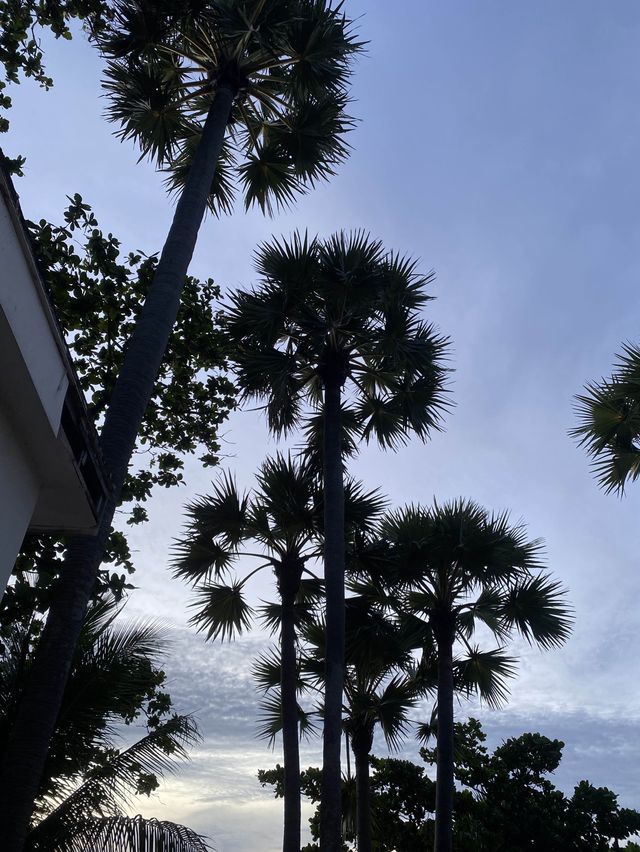 The commune Terrace & Bar Phuket 