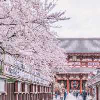 Tokyo Unveiled: Where Tradition Meets Innovation