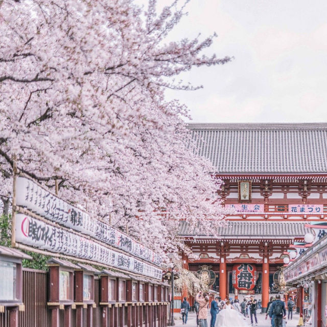 Tokyo Unveiled: Where Tradition Meets Innovation