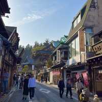 关东地区首屈一指的名寺建筑～ 成田山新勝寺