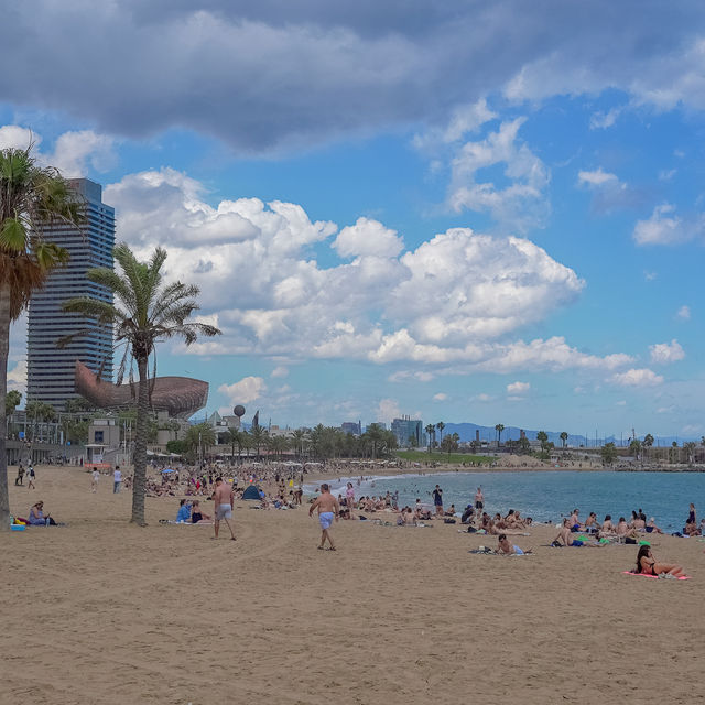 🇪🇸유럽여행 중 태닝하고 싶을 땐! 바르셀로나 비치⛱️