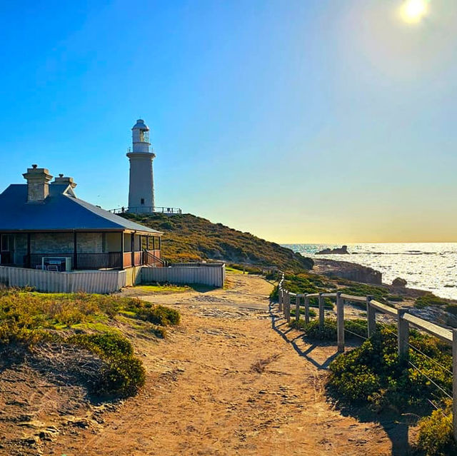 Island Oasis: Rottnest Island Getaway