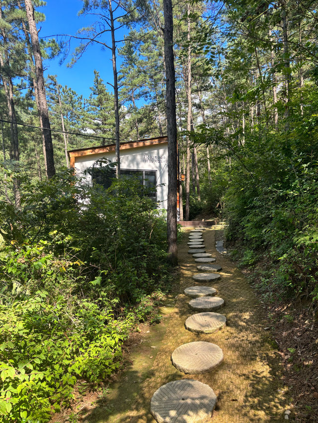 전주 숲속 힐링할수있는 도서관,전주학산시집도서관